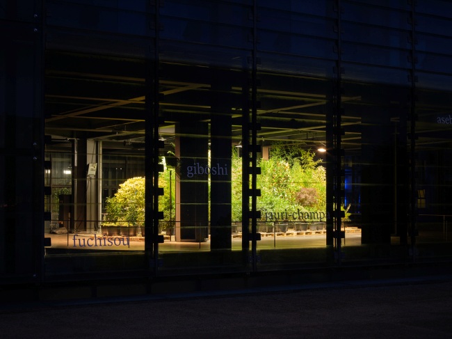 Eva-Maria Lopez, Phyto-Travellers, 2025 / © Eva-Maria Lopez, Foto: ZKM | Zentrum für Kunst und Medien Karlsruhe, Felix Grünschloß